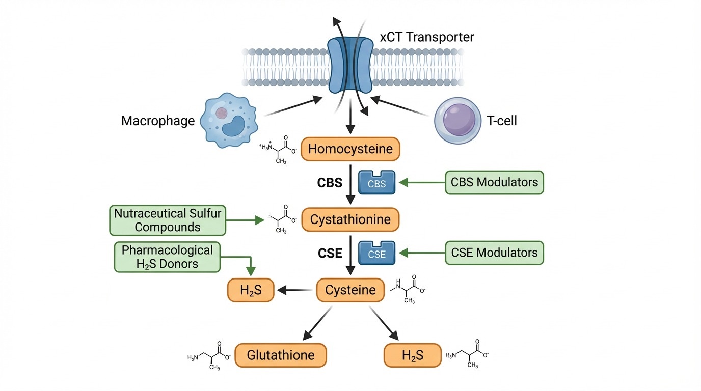 Immunometabolism