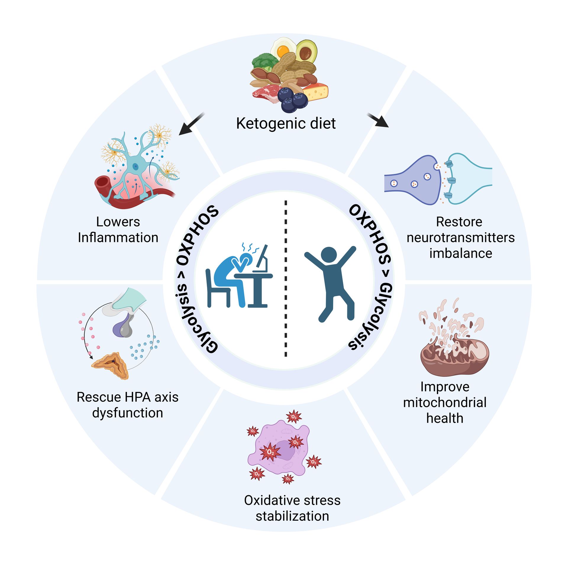 Nutritional Interventions and Metabolic Therapies